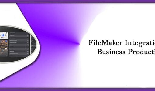Mastering 17 FileMaker Integrations for Business Productivity [2023]